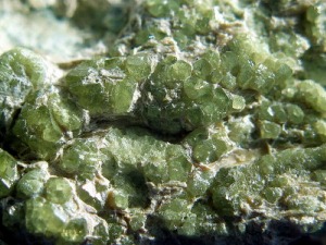 Andradite4.jpg